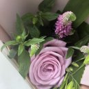 WR(인천광역시 서구)-[장고개로]-하-11 | 화장실에서 읽으면 꿀잼인 남의 연애스토리 #2