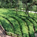 산림문화체험관 | [전라북도 익산시] 익산산림조합산림문화체험관 - 전 견종 가능 · 맹견 입마개 · 목줄 착용 · 배변...