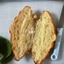 팀 크루아상 이미지