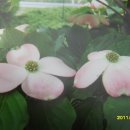 치현농장 이미지