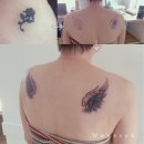 예쁜날개 - 5779 | 예쁜날개