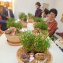 금과보건지소 이미지