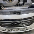 하마모터스 이미지