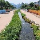 백석근린공원 이미지