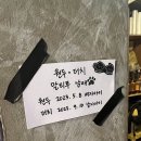 강남 학동역 근처 카페 추천 카이막이 맛있고 분위기도 좋은 씨벨커피