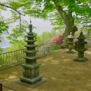 사자사지 이미지