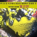 탱탱피부관리샵 이미지