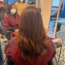 캣츠살롱 이미지