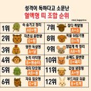 성격이 독하다고 소문난 혈액형 띠 조합 순위 이미지