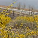 응봉개나리어린이공원 이미지