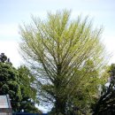 포토갤러리자연사랑미술관 이미지