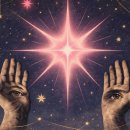 Top PC cafe 이미지