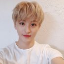 나일론 카카오 검색결과