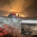 건초사료 이미지