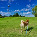 파주출판단지 근린공원(2) 이미지