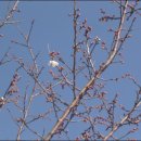 매화한의원 이미지