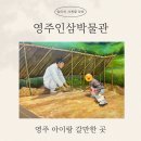 파란나무유치원 | [영주 아이랑 갈만한 곳] 영주인삼박물관 체험존 후기