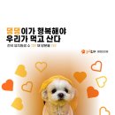 놀러오개 애견유치원 애견호텔(화성 병점진안점) 이미지