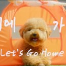 스텔라(Stella) 이미지