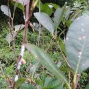 충의농장 이미지