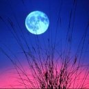 낮엔해처럼밤엔달처럼 이미지