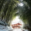 담양을 담다 이미지