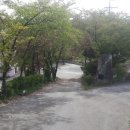 성산면사무소 버스정류장 이미지