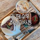 식물 인테리어 | 하남미사 카페수우 하남미사점 후기, 푸릇 식물 인테리어로 감성 카페