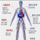 오엔오(O.N.O)