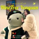 이코노미호텔 명동 프리미어점 | 나인트리 프리미어 로카우스 호텔 서울 용산 근처 숙소 서울호캉스 후기