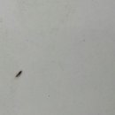 승광농장 이미지