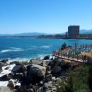 동해바다 이미지