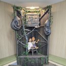 김효성 | 26.01.15 뮤지컬 판 스페셜커튼콜데이 후기 - 윤은오, 김대곤, 박은미, 박세미, 김효성, 이재희, 김솔지