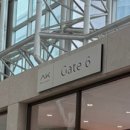 서현애견미용실 이미지