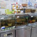 고향순대감자탕 이미지