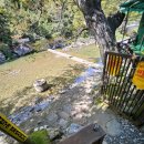 느티나무 그늘아래 평상 이미지