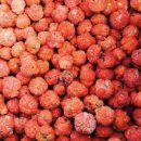 용자농장 이미지