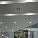 울산역로 | 울산 아이와 가볼만한 곳 실내체험 / 대한민국 생물대탐험 후기, 내돈내산