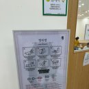 캣플헤븐 엘리스빌 인천서구점 | 인천 서구 고양이 카페 방문 후기_캣플헤븐 루원시티인천점