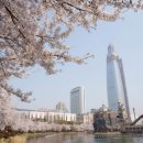 봄컴퍼니 이미지
