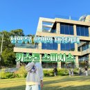 키스톤디자인 | 아이랑 갈만한 남양주 카페 ☕️ 잔디정원 예쁜 키스톤 스피시스 솔직 후기