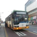 버들청과