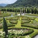 음악이 있는 힐링원예 이미지