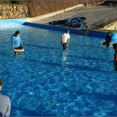 스톤밸리 이미지