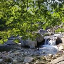 소소하루 민박 이미지