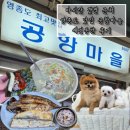 애견마을 | 마시안 갯벌체험장 근처 애견동반 가능한 식당 &#39;공항마을&#39; 방문 후기