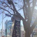 핫도그아재