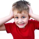 용오름 가온 태권도장 이미지