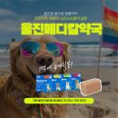 울진동물약국(울진메디칼약국) 네이버블로그