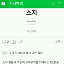 우리 엄마는 스지 미역국 해 이미지